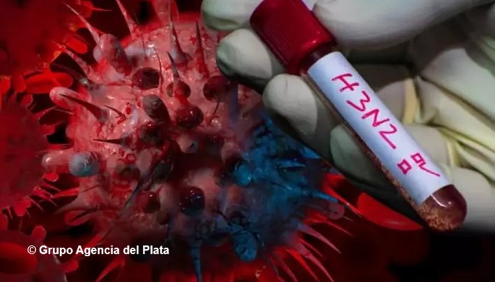 La gripe A (H3N2) ya llegó a Argentina: «El Instituto Malbrán confirmó tres casos, 2 en Santa Cruz y 1 en CABA»