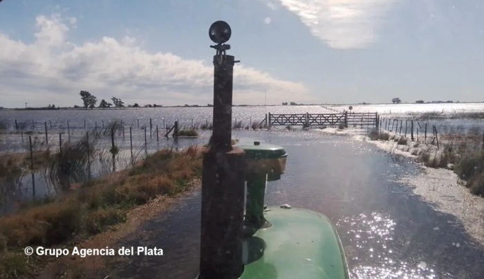 La Provincia de Buenos Aires prorrogó la emergencia agropecuaria en Guaminí y Coronel Suárez