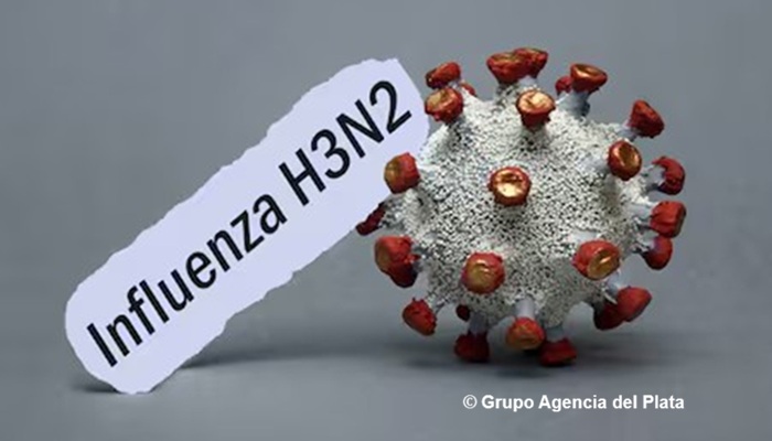 Súper gripe A H3N2 en Argentina: «Falleció un turista de 74 años que había llegado de España para las fiestas»